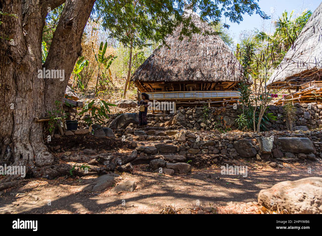 A lumbung storehouse rises behind a gnarled tree in the village of Takpala, Alor, Indonesia, with a woman in traditional dress standing on the stone steps in front of it. Stock Photo