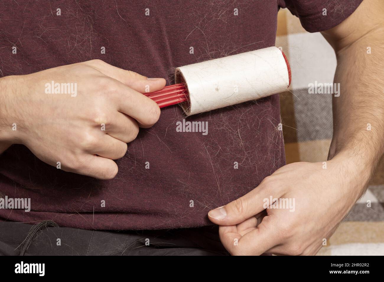 A man with a sticky clothes roller removes animal hair from clothes. Cat hair on clothes. A sticky roller that removes cat hair. a hair removal tool. Stock Photo