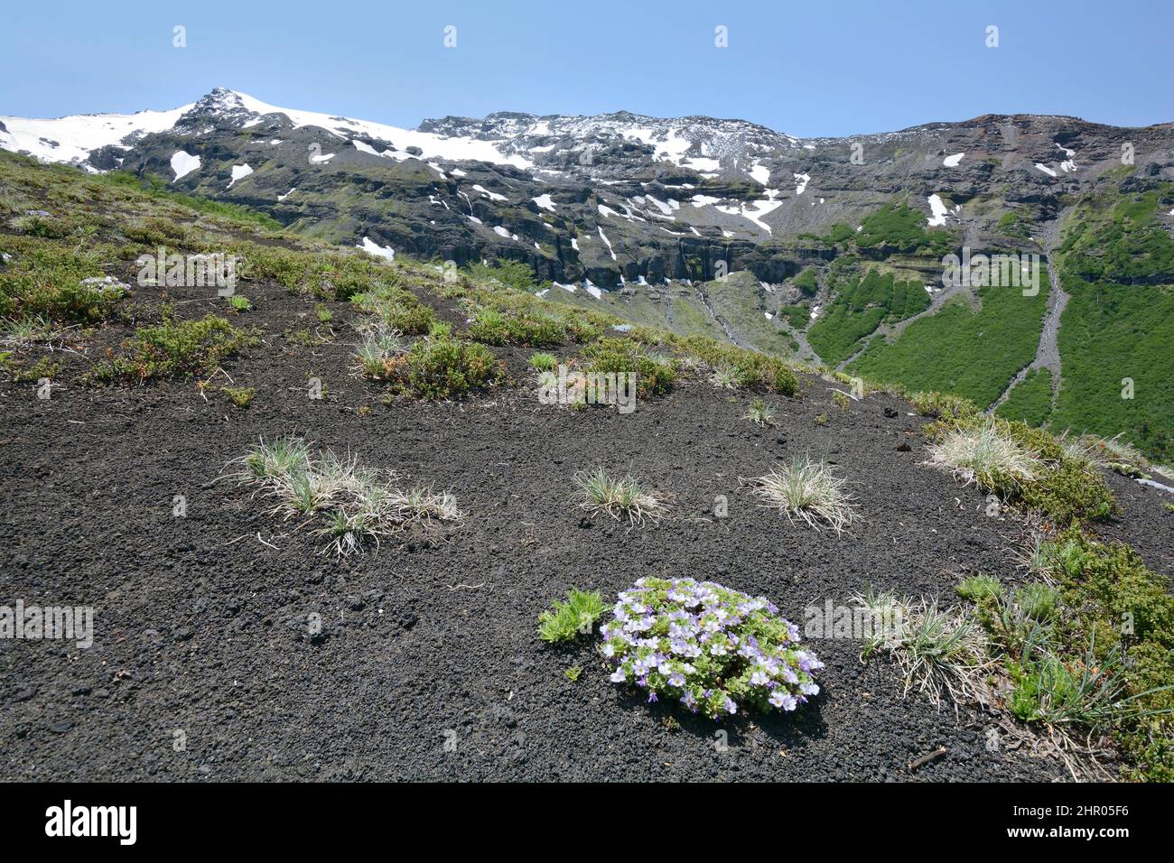 Sierra Nevada, Conguillio National Park, IX Region of Araucania, Chile Stock Photo