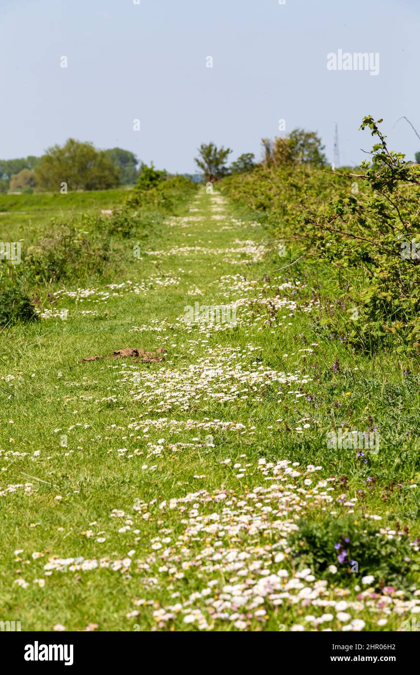 Hiking trrail hires stock photography and images Alamy