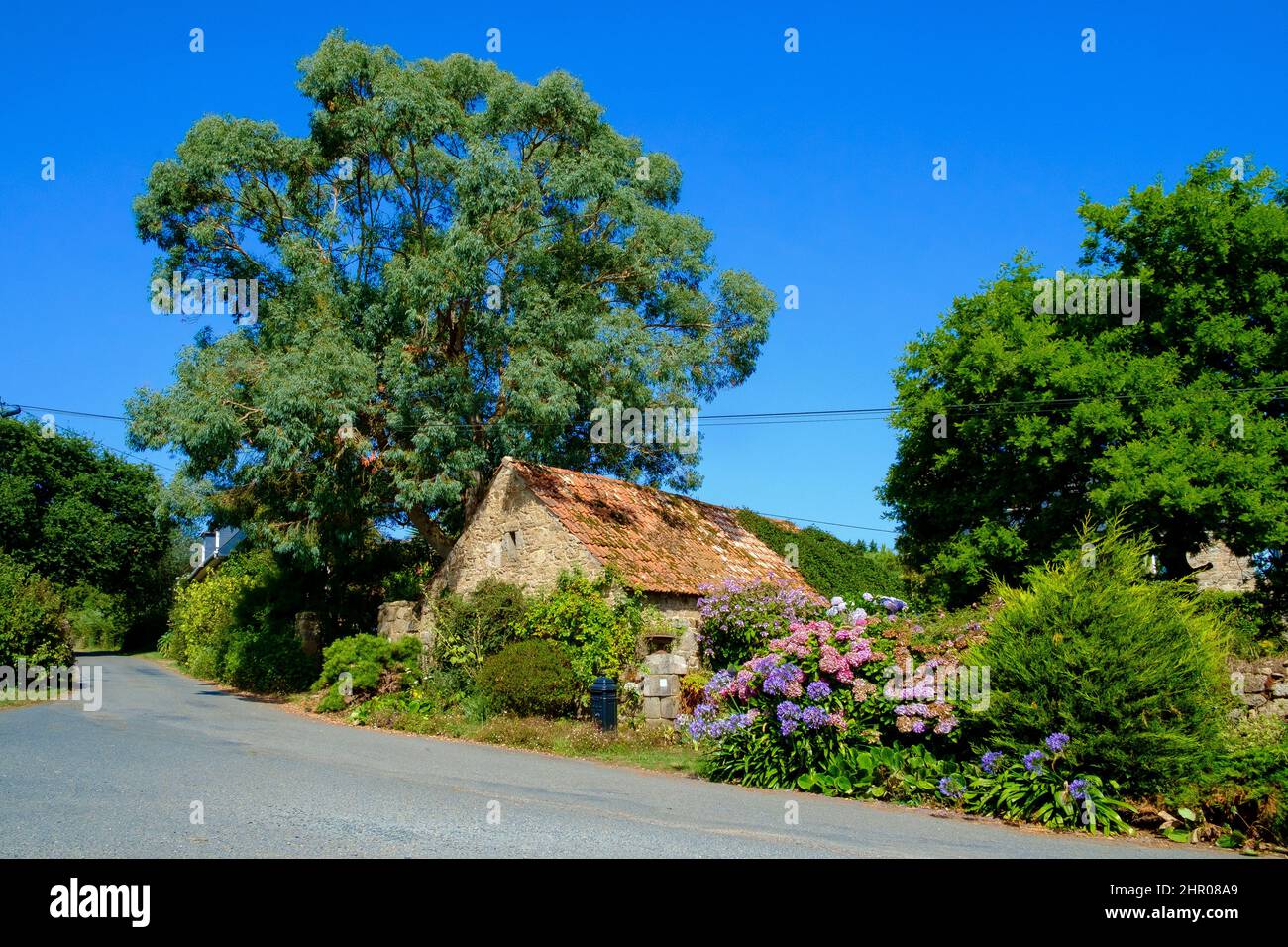 french country road Stock Photo Alamy