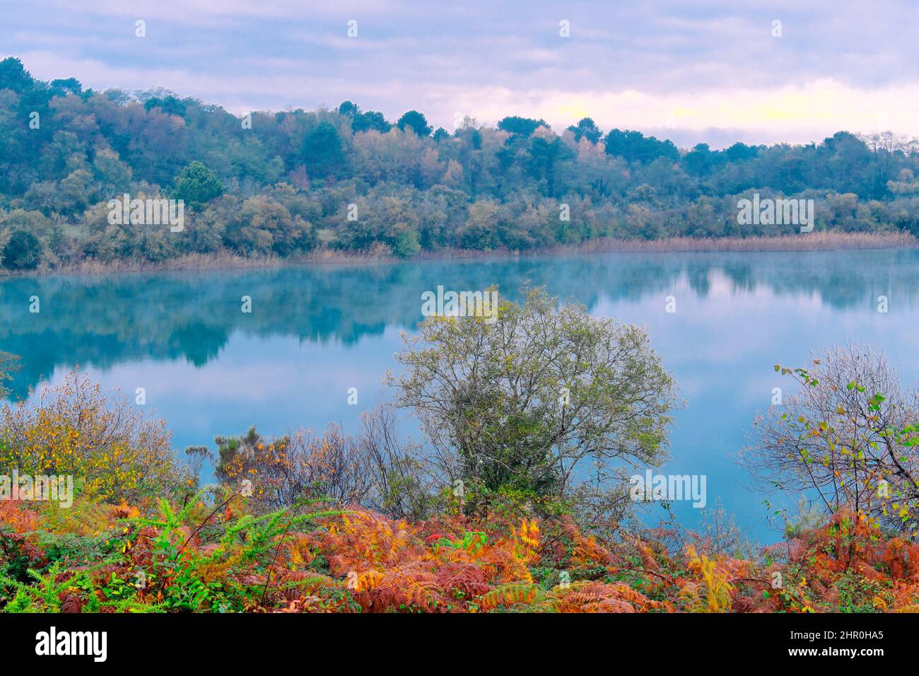 Arjuzanx Nature Reserve located on the territory of 4 Landes communes