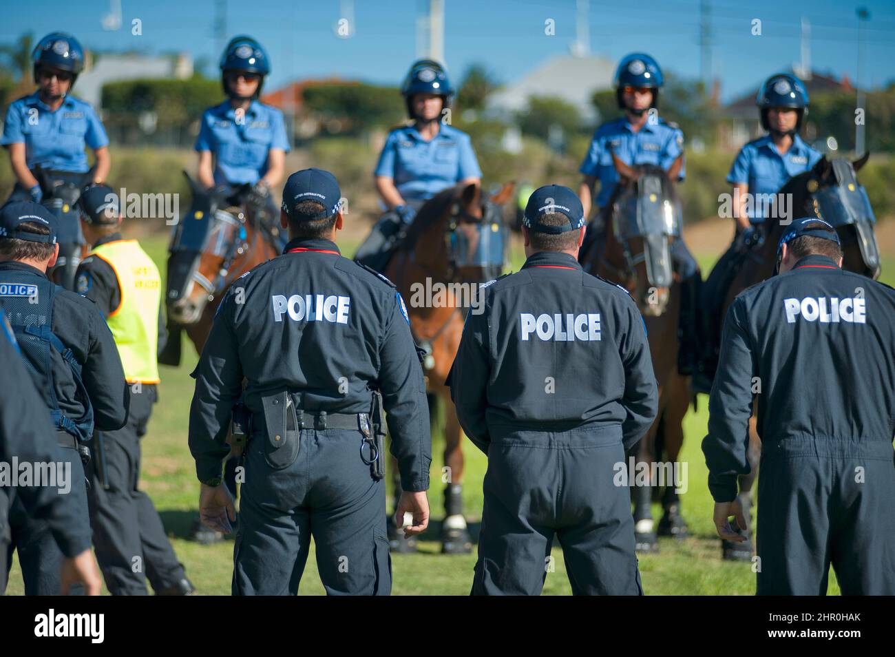 Western Australia Police (WAPOL) mounted police section in action. Stock Photo