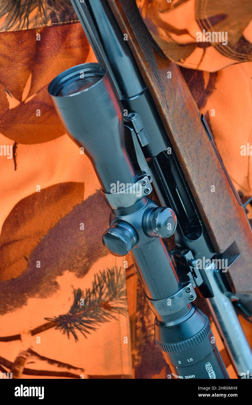 Hunting rifle with a scope during a wild boar hunt, Regulation hunting