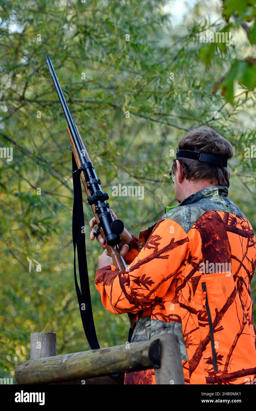 Hunting rifle with a scope during a wild boar hunt, Regulation hunting, Brognard, Doubs, France