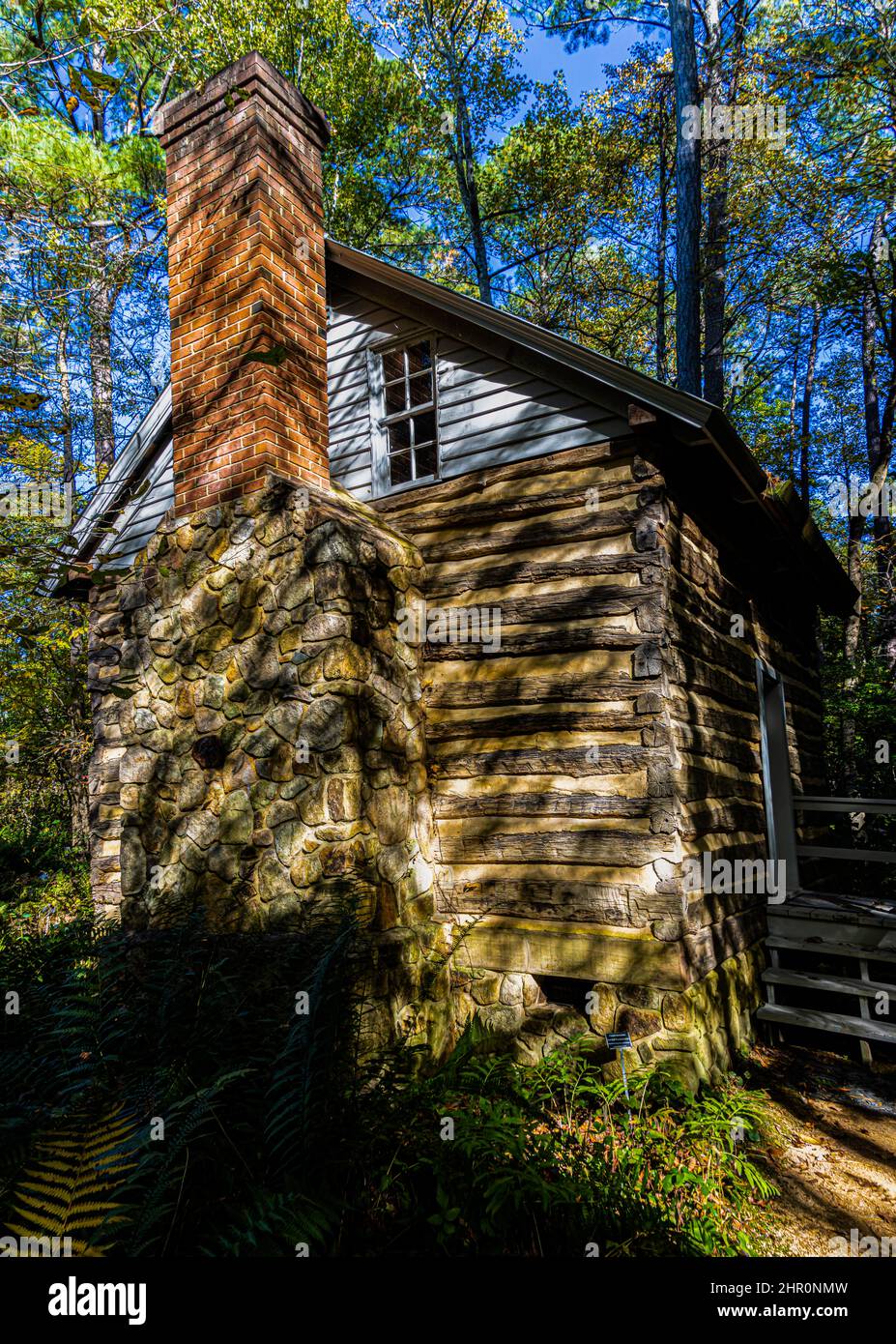 Log Cabin in Forest Setting, North Carolina Botanical Garden, Chapel