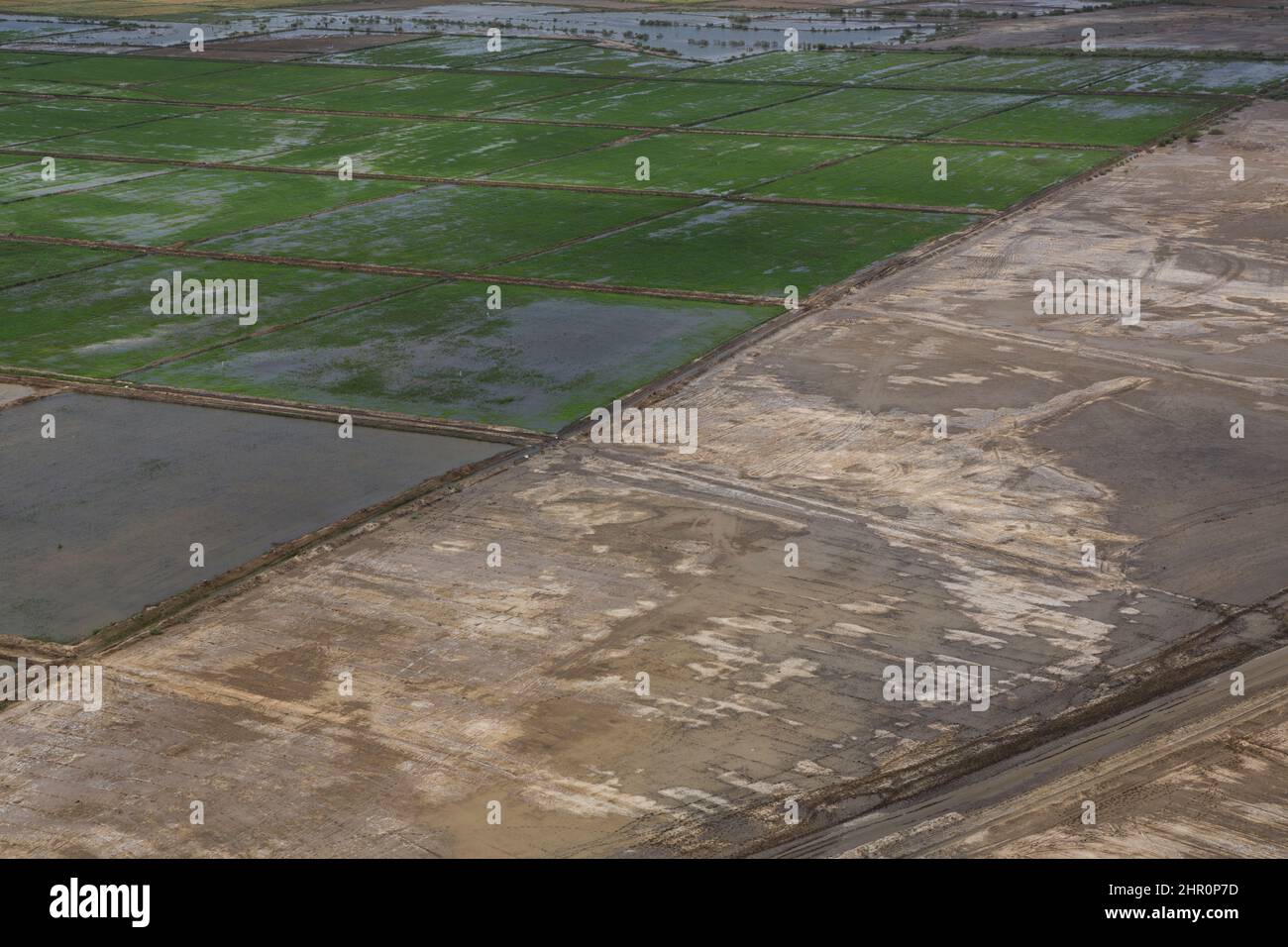 Over-salinated rice fields lie fallow in the Senegal River Delta, northern Senegal, West Africa. Stock Photo