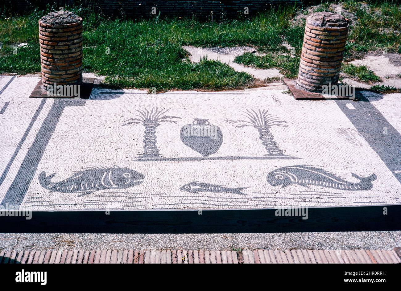 Ostia Antica - large archaeological site in progress, location of the harbour city of ancient Rome. Piazzale delle Corporazioni (Square of the Corporations) Wine and Corn Merchants mosaic.   Archival scan from a slide. April 1970. Stock Photo