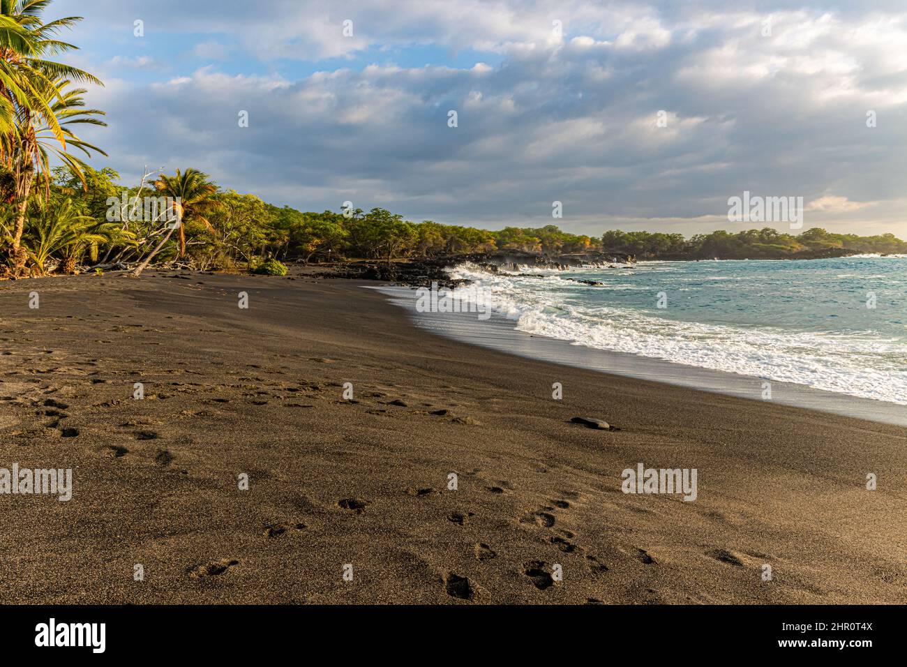 Green Palm Trees on Black Sand on Honomolino Beach, Hawaii Island, Hawaii, USA Stock Photo