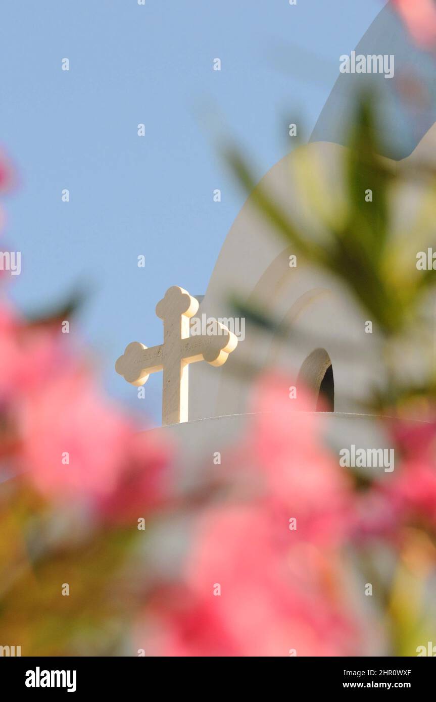Study of  Cross amongst Pink Bougainvillea blossom  on Greek orthodox church roof on Agistri, Greece Stock Photo