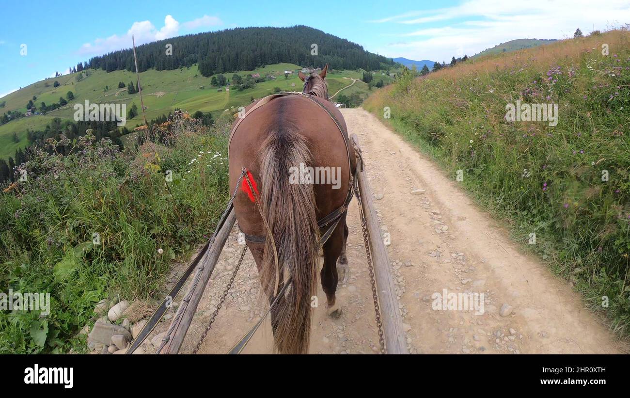 Horse chaise hires stock photography and images Alamy
