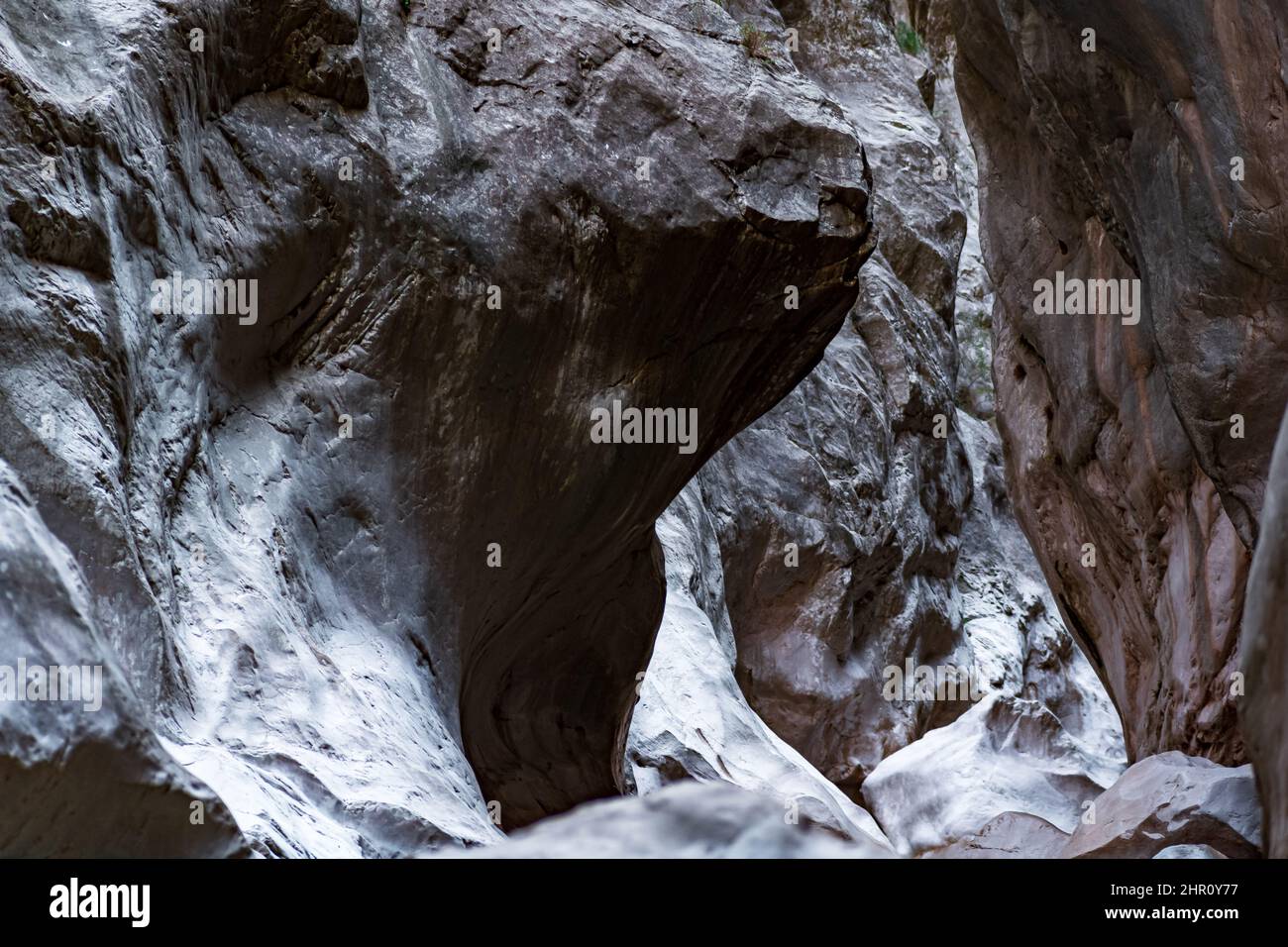 landscape at the bottom of a mysterious narrow rocky canyon Stock Photo