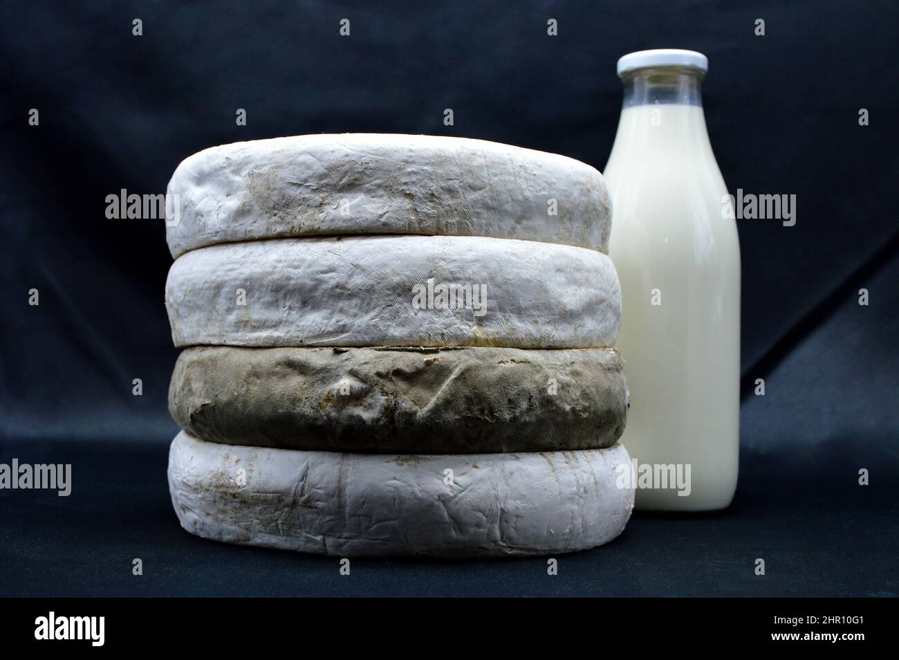 Saint Nectaire cheese. It is an Auvergne cheese and a mountain cheese made with cow’s milk. Stock Photo