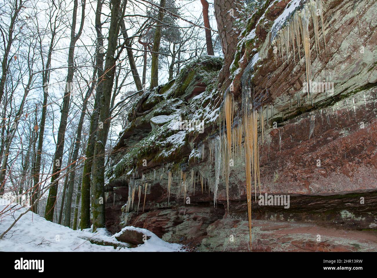 Sandstone rocks of the Northern Vosges with ice stalactites, Vosges du Nord Regional Nature Park, France Stock Photo
