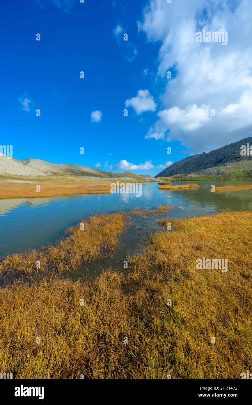 The lake of Lignin in the Haut Verdon, high altitude lake (2300 m) surrounded by a peat bog and overhung by Annot sandstone, Haute Vallee de la Lance, Stock Photo