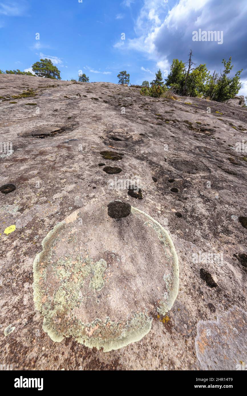 Crustacean lichen (Solenopsora cesatii) on sandstone from Annot, Alpes de Haute Provence, France Stock Photo