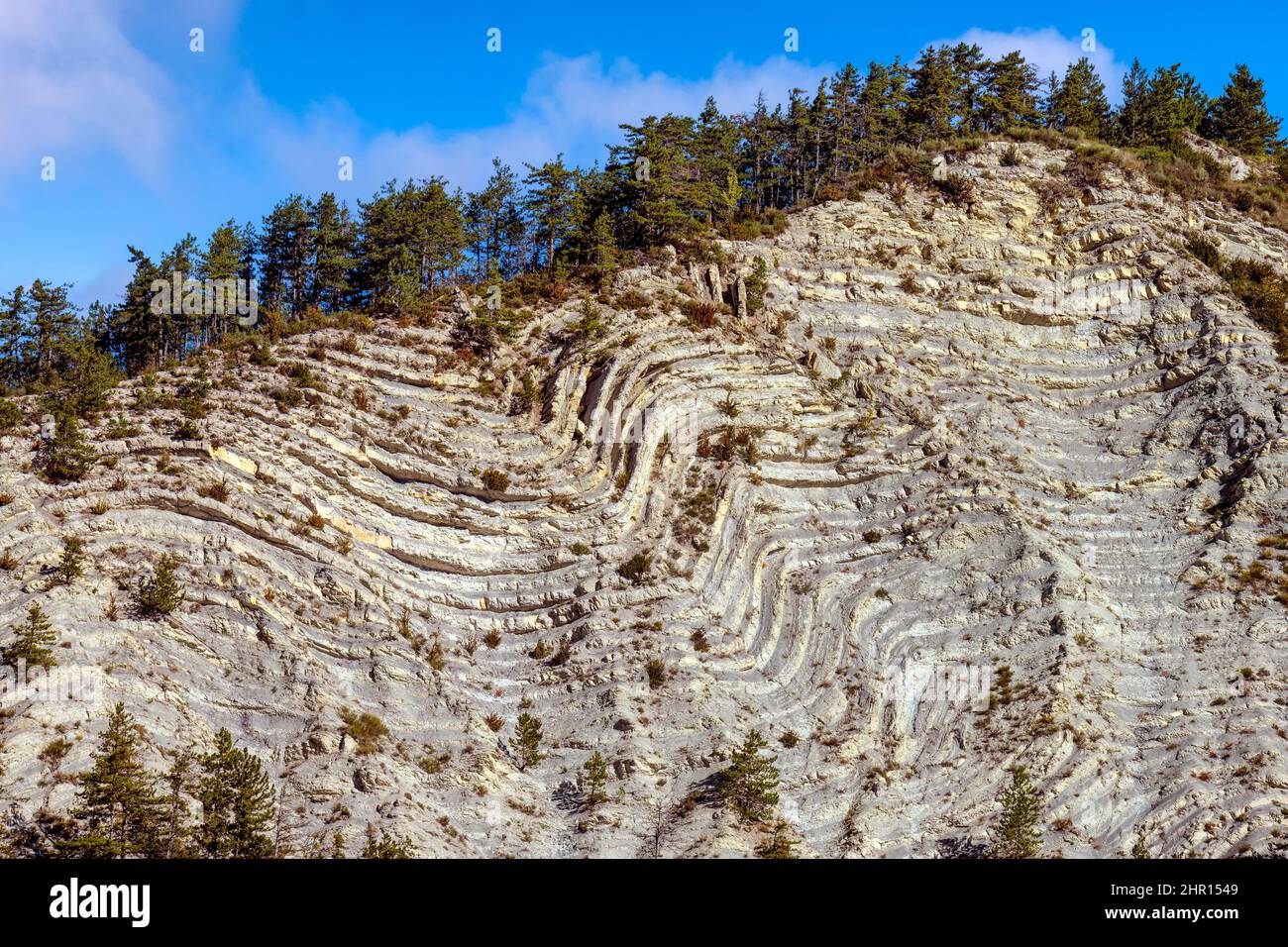 Folded strata in the Haut Verdon, alternating Cretaceous marl and limestone, Thorame-Haute, Alpes de Haute-Provence, France Stock Photo