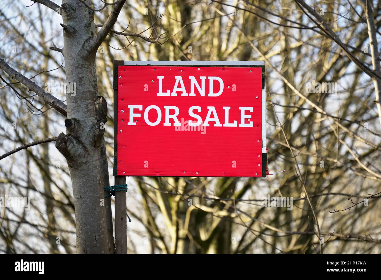 Land for sale sign for buyers and investment Stock Photo Alamy
