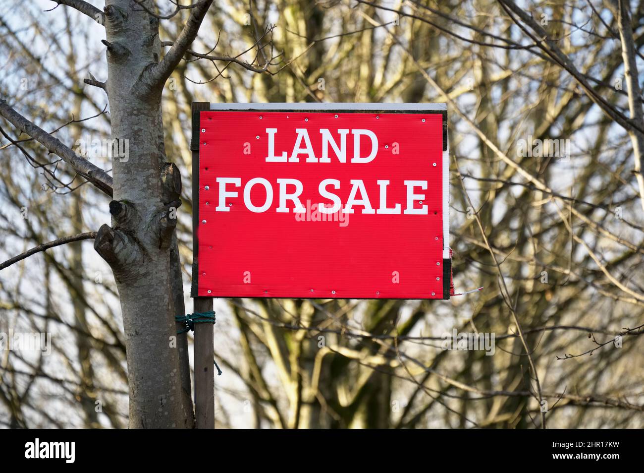 Land for sale sign for buyers and investment Stock Photo