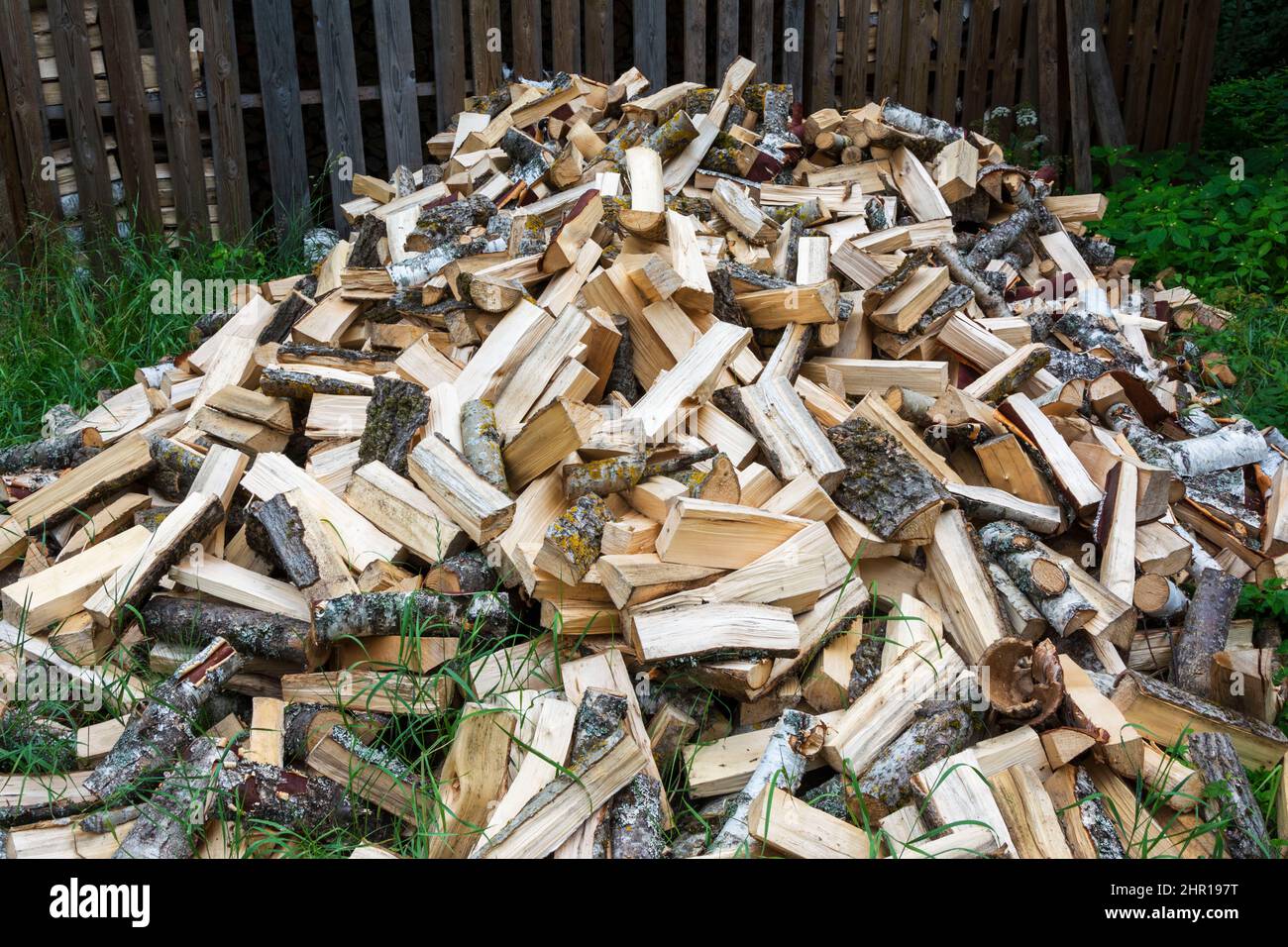 a pile of chopped birch wood is poured out on the grass in front of the fence, stove heating, fuel for fireplaces, stoves. Stock Photo