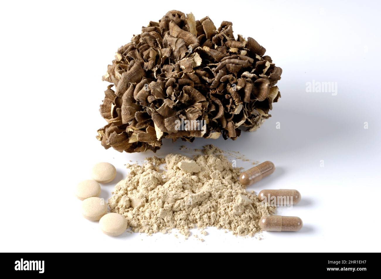 hen of the woods, maitake (Grifola frondosa), dried fruit body, powder