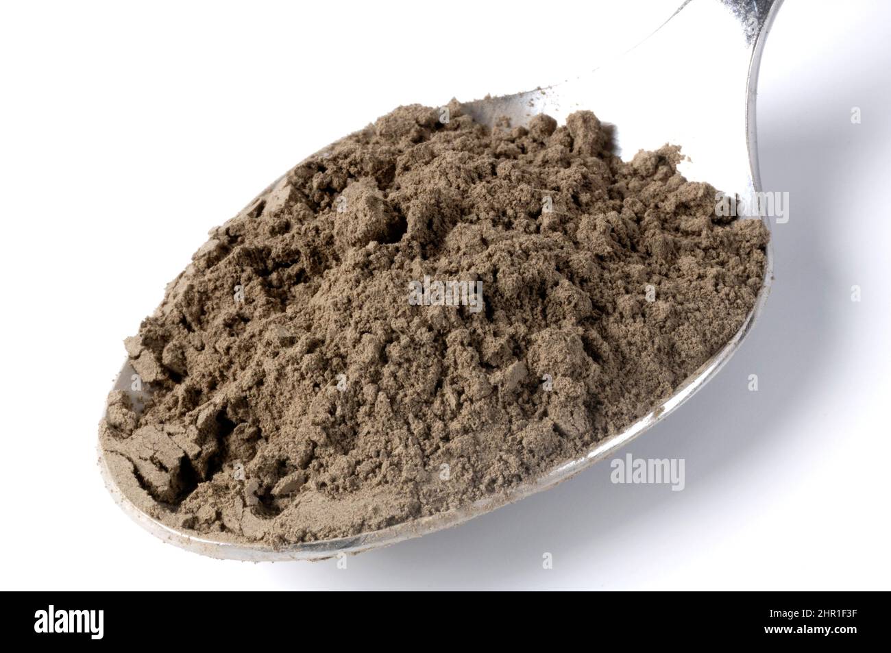 Jelly ear, Cloud ear fungus, black fungus, Black Chinese mushroom, Wood