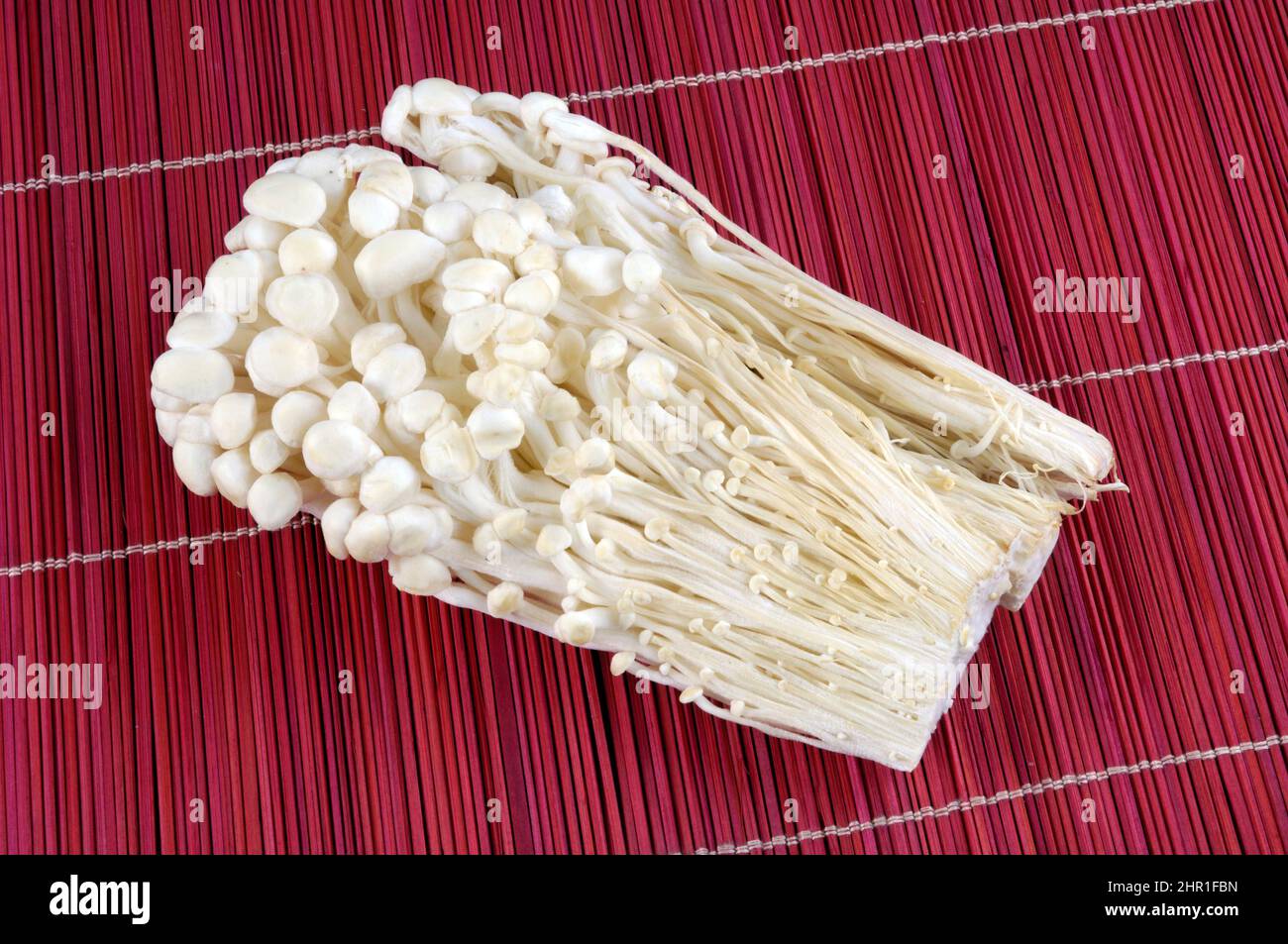 Velvet Shank, Enoki Mushrooms, Golden needle mushroom, Winter mushroom