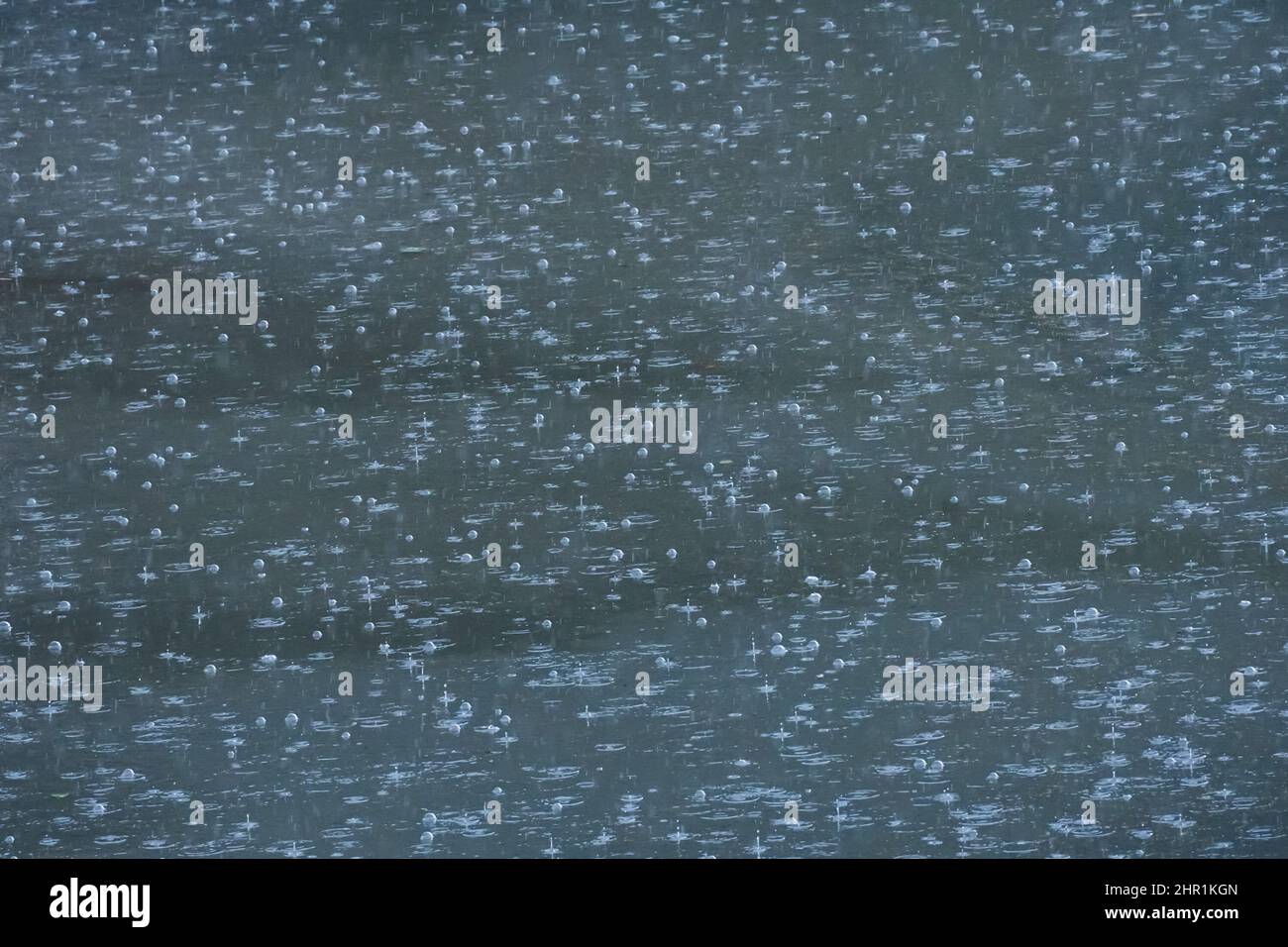 Rain bubbles on the water in rainy weather Stock Photo Alamy