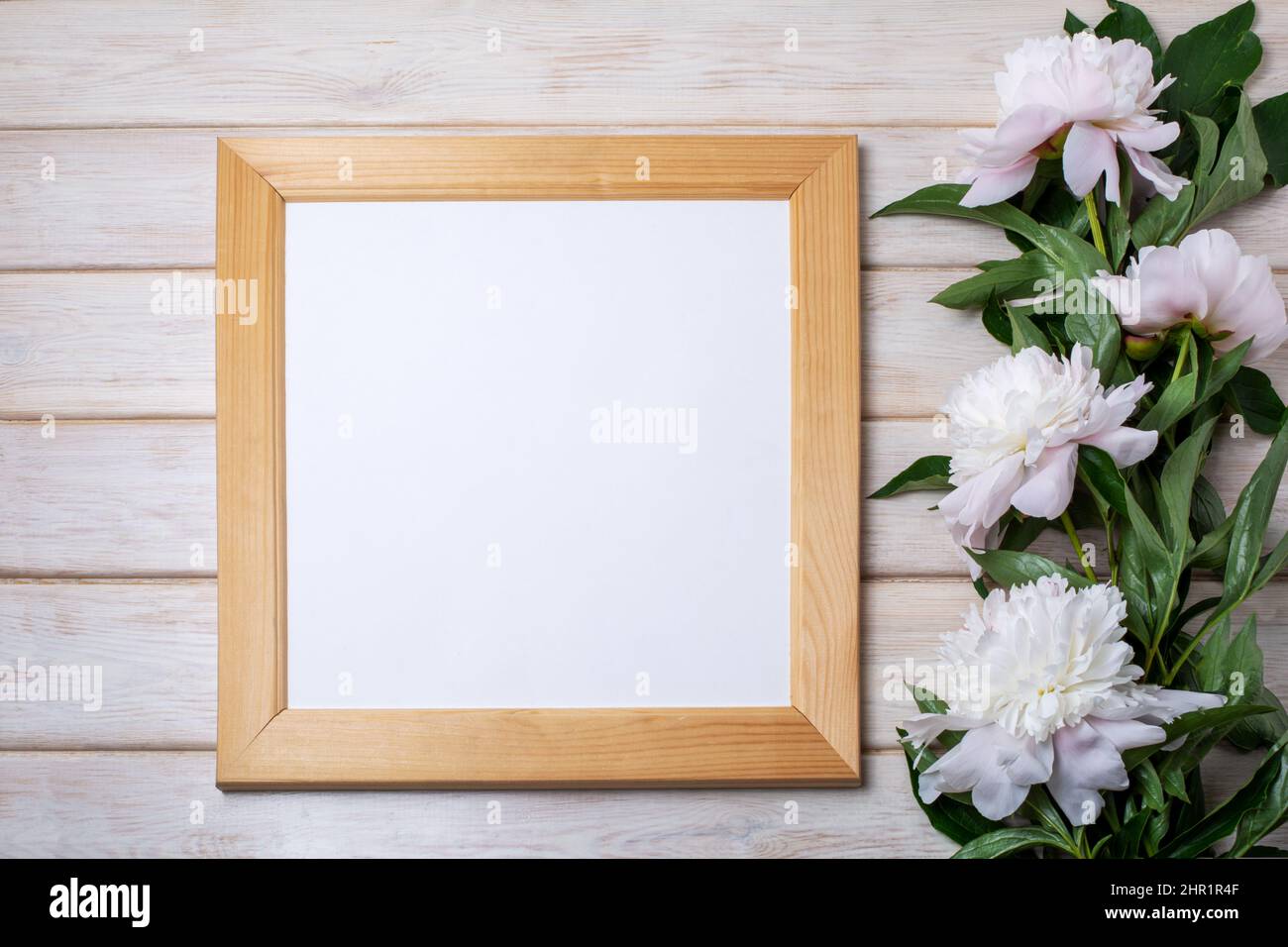 Wooden square picture frame mockup with pale pink peony. Empty frame mock up for presentation design. Template framing for modern art. Stock Photo