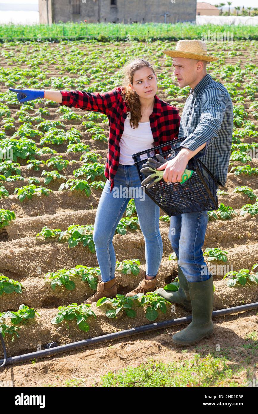 Young farmer couple talking on vegetable farm field Stock Photo - Alamy
