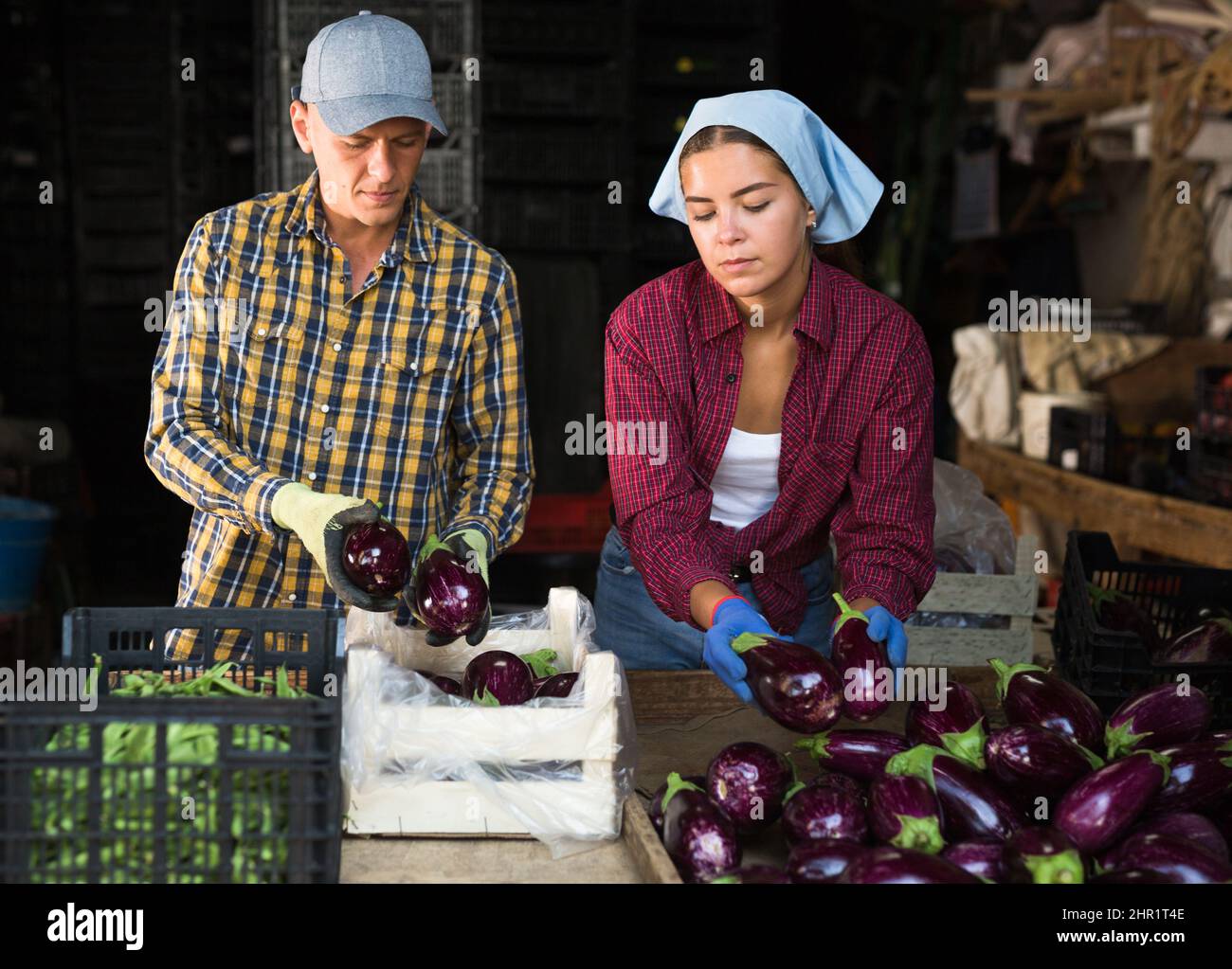 Two workers in vegetable warehouse Stock Photo Alamy