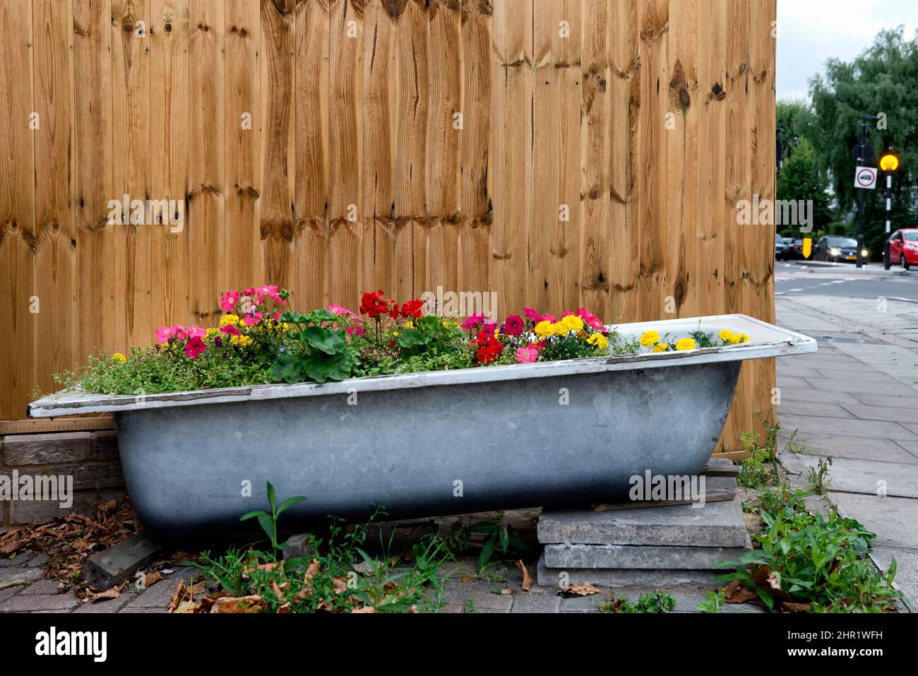 Colourful flowers and plants in old bathtub recycled as big pot Stock Photo