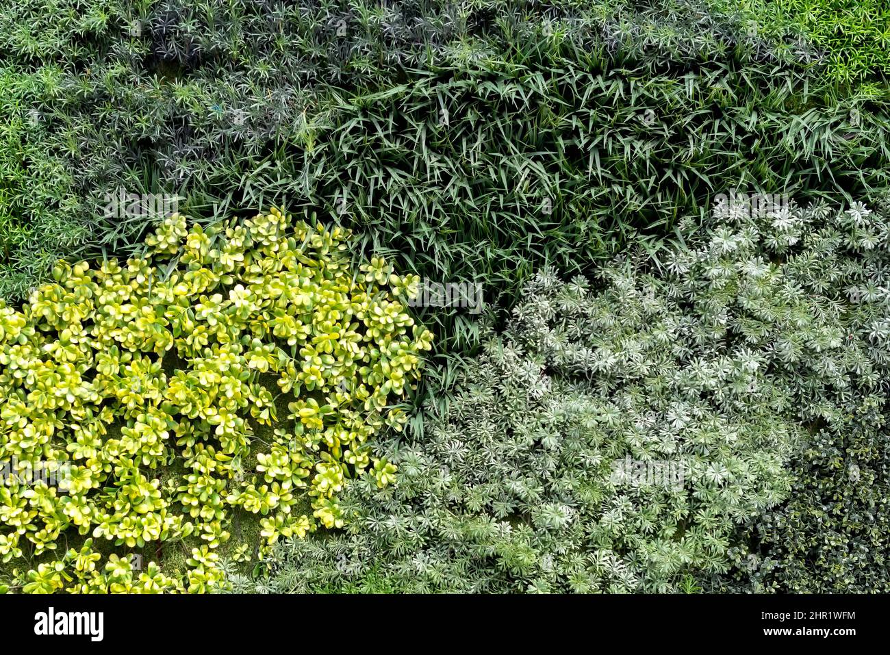 Decorative garden wall hi-res stock photography and images - Alamy