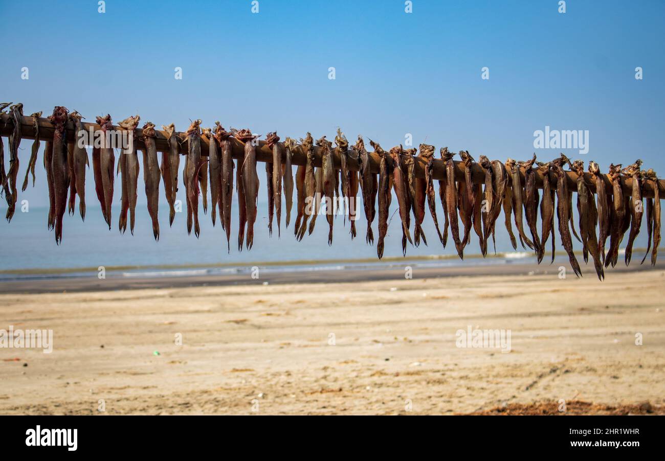 Dry Fish hung by the sea of Kutubdia Island Stock Photo