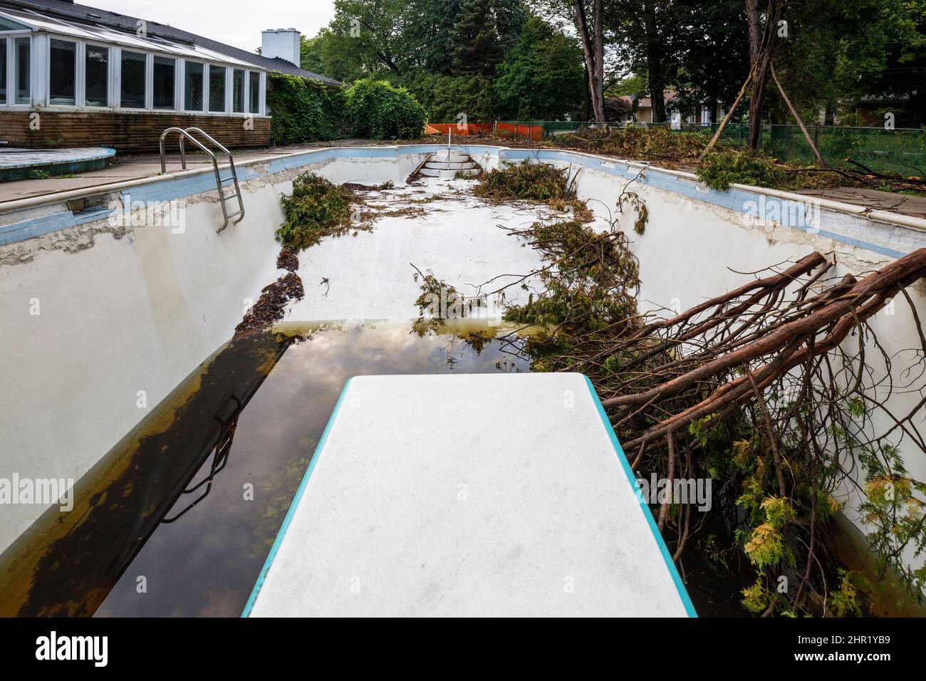 A dirty outdoor swimming pool with trees inside it.  This house has been demolished. Stock Photo