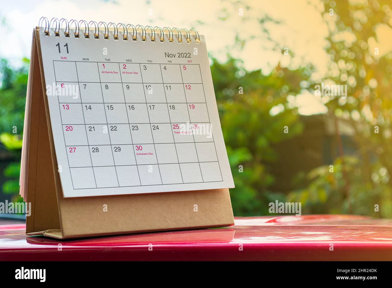 The November 2022 Desk Calendar With Plant Pot On Pink Background Stock Photo - Alamy
