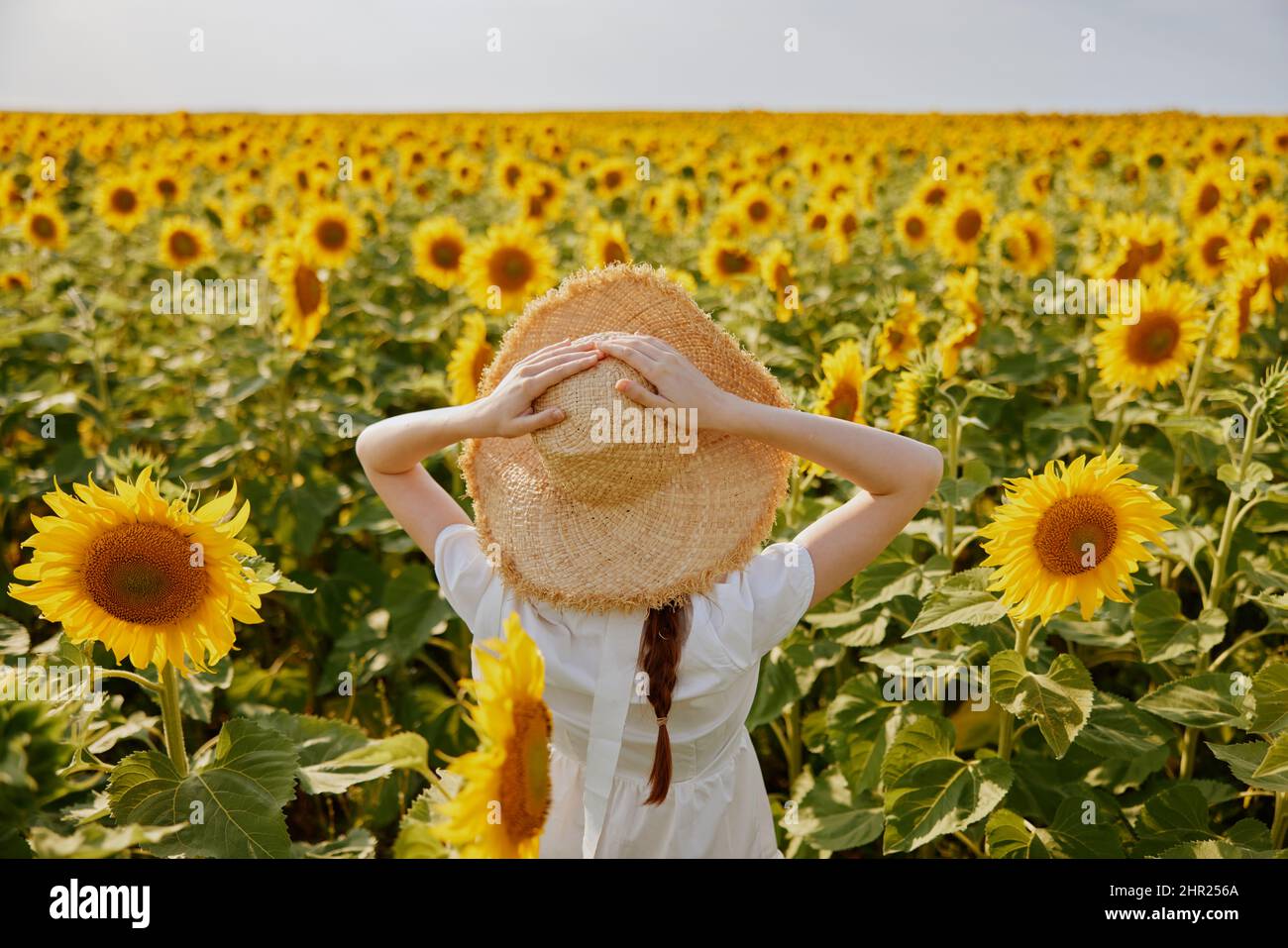 woman in a straw hat in a white dress back view of a field of ...