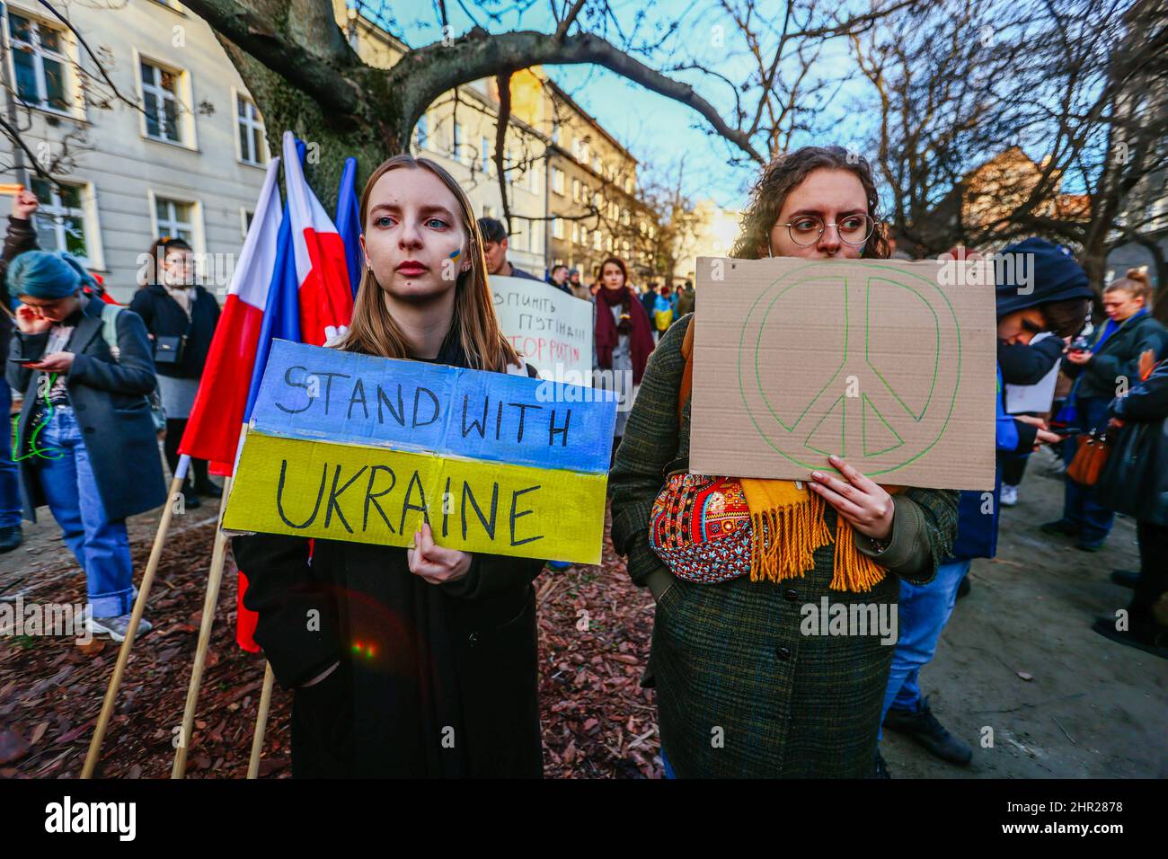 Protesters seen holding placards with peace symbol and 'Stand with Ukraine' slogan.  Following the beginning of the Russian invasion of Ukraine, membe Stock Photo