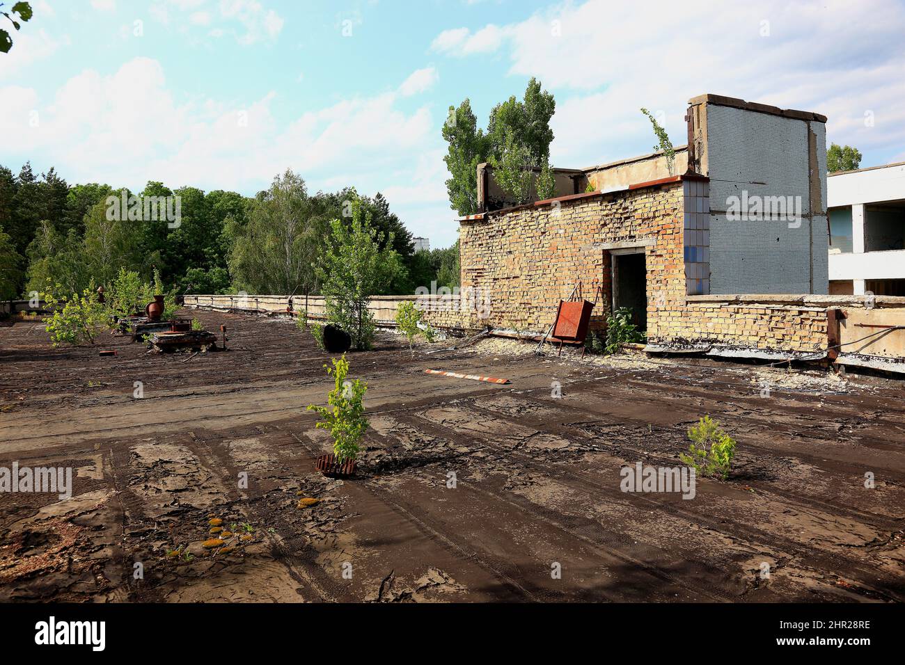 Ukraine, in the restricted and uninhabitable 30 kilometer zone around