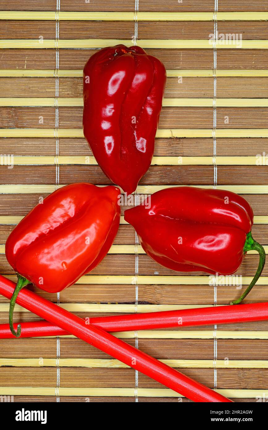 Habanero chili in a closeup Stock Photo