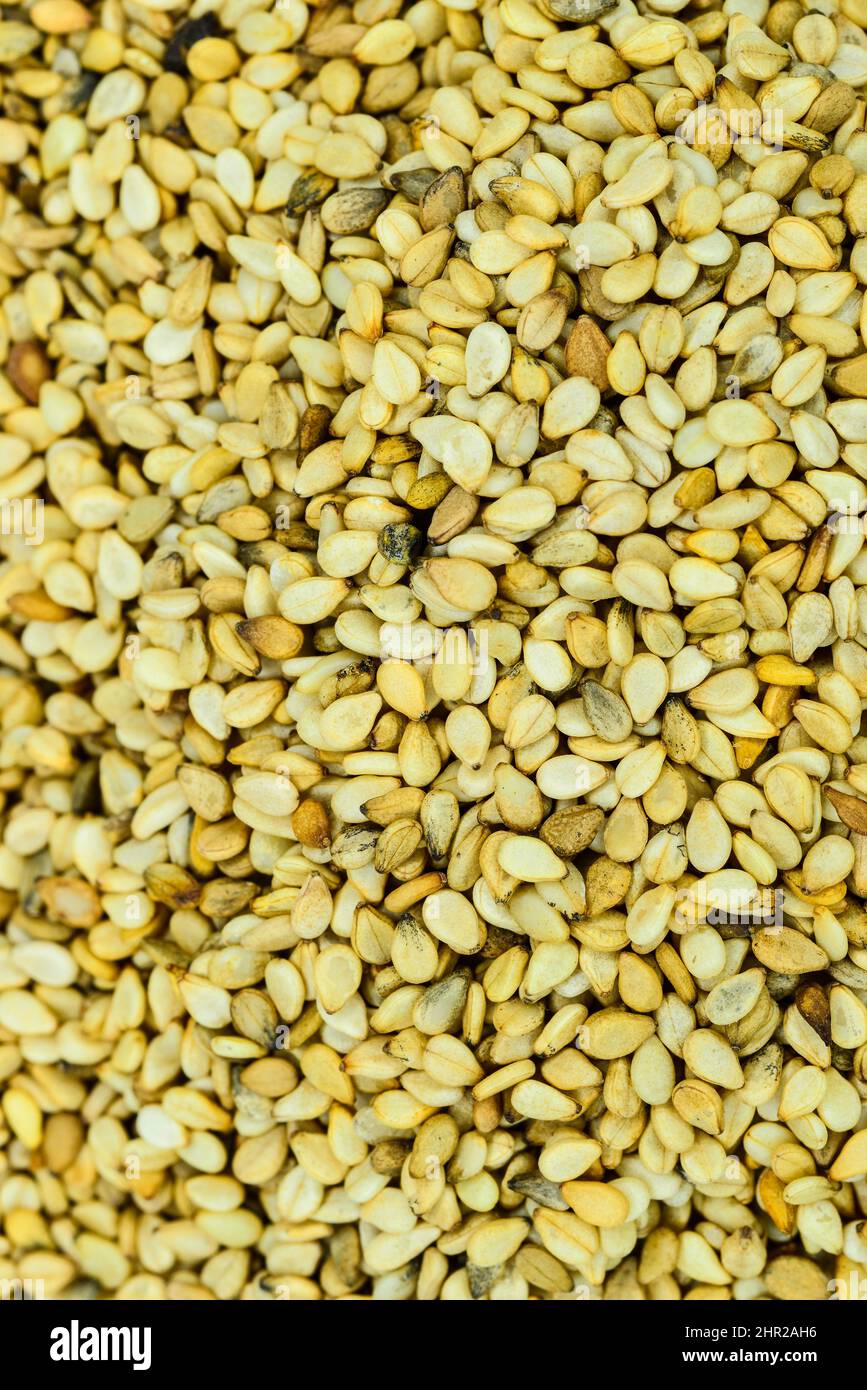 sesame seeds in a closeup Stock Photo