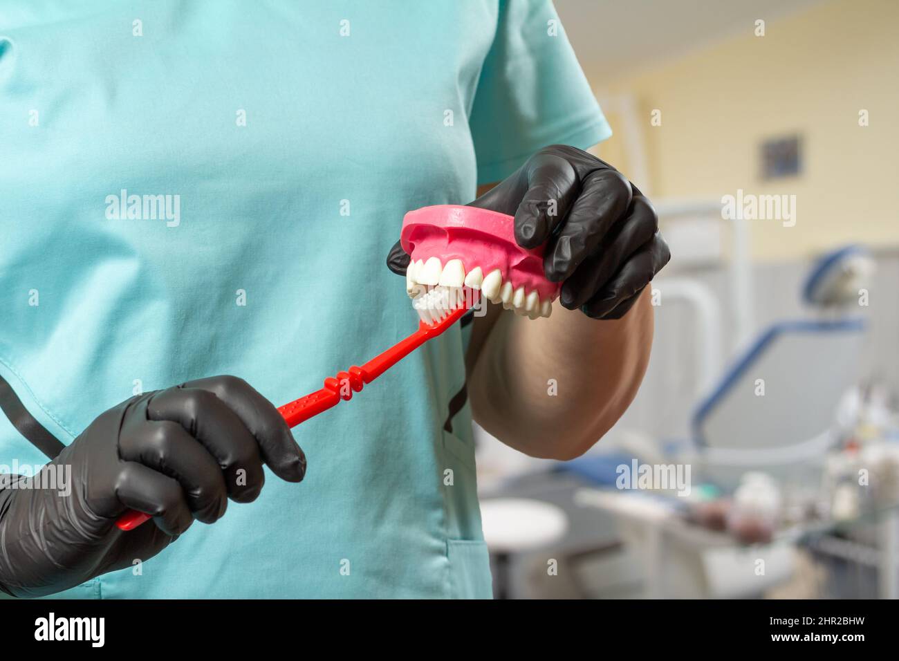 Dentist with toothbrush and layout of the human jaw Stock Photo - Alamy