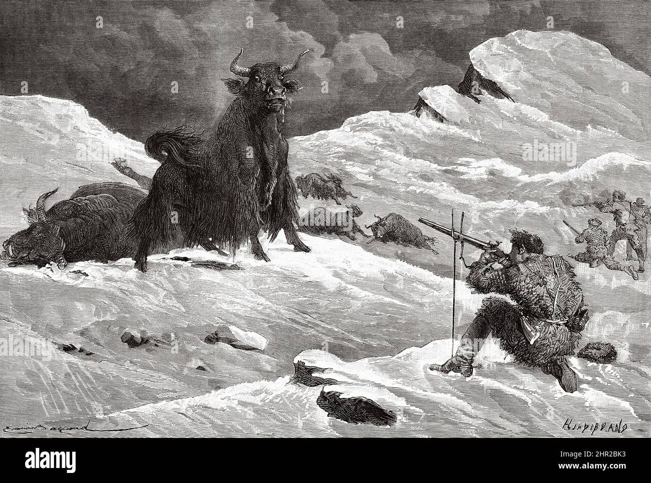 Hunter hunting a wild yak, Tibet. Asia. Trip to Mongolia by Nikolai Mijailovich Przewalski in 1870-1873, Le Tour du Monde 1877 Stock Photo
