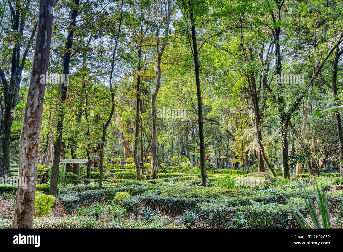 Colonia Condesa, Mexico Stock Photo