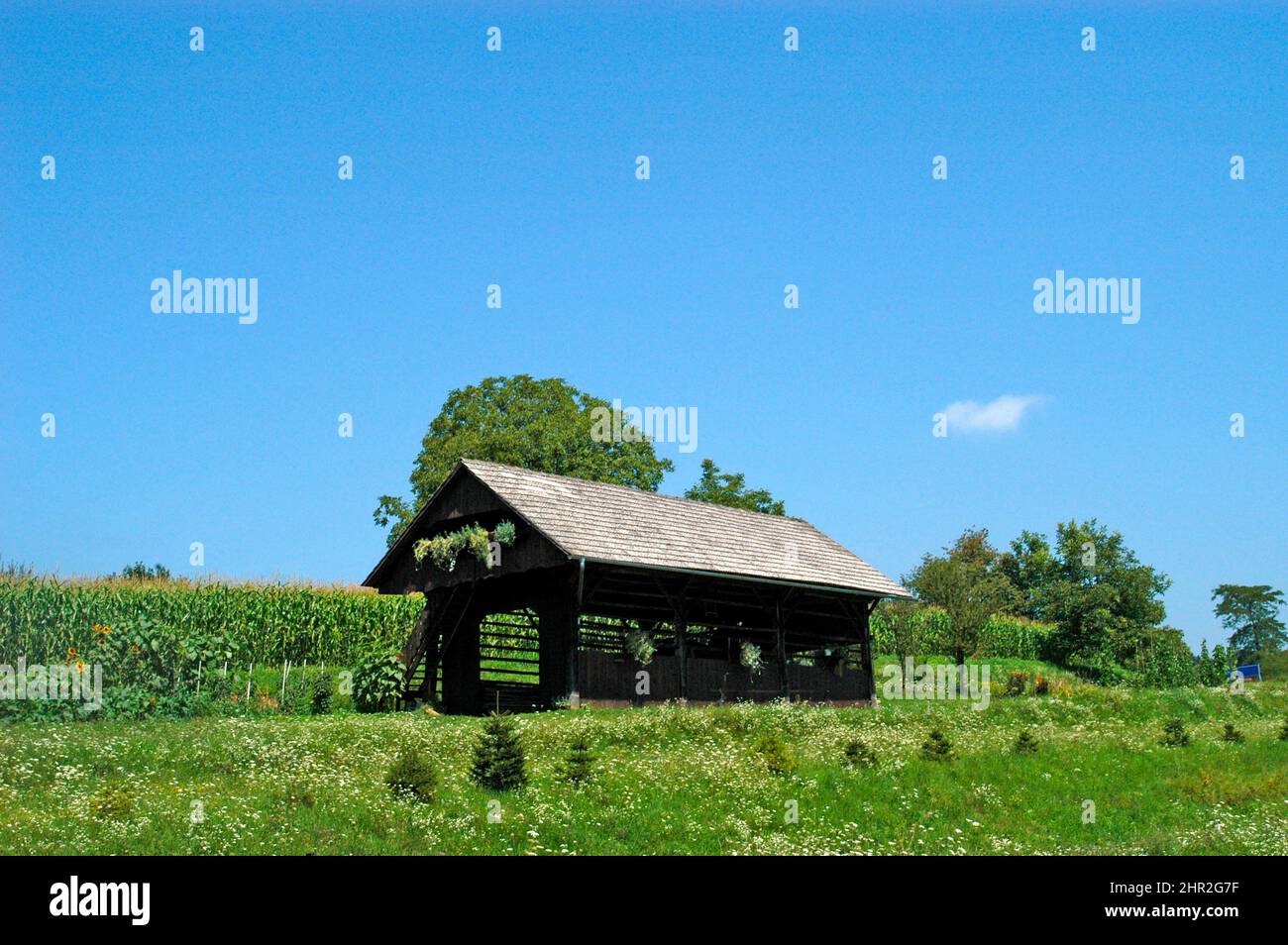 farming near Ljubljana, Slovenia Stock Photo