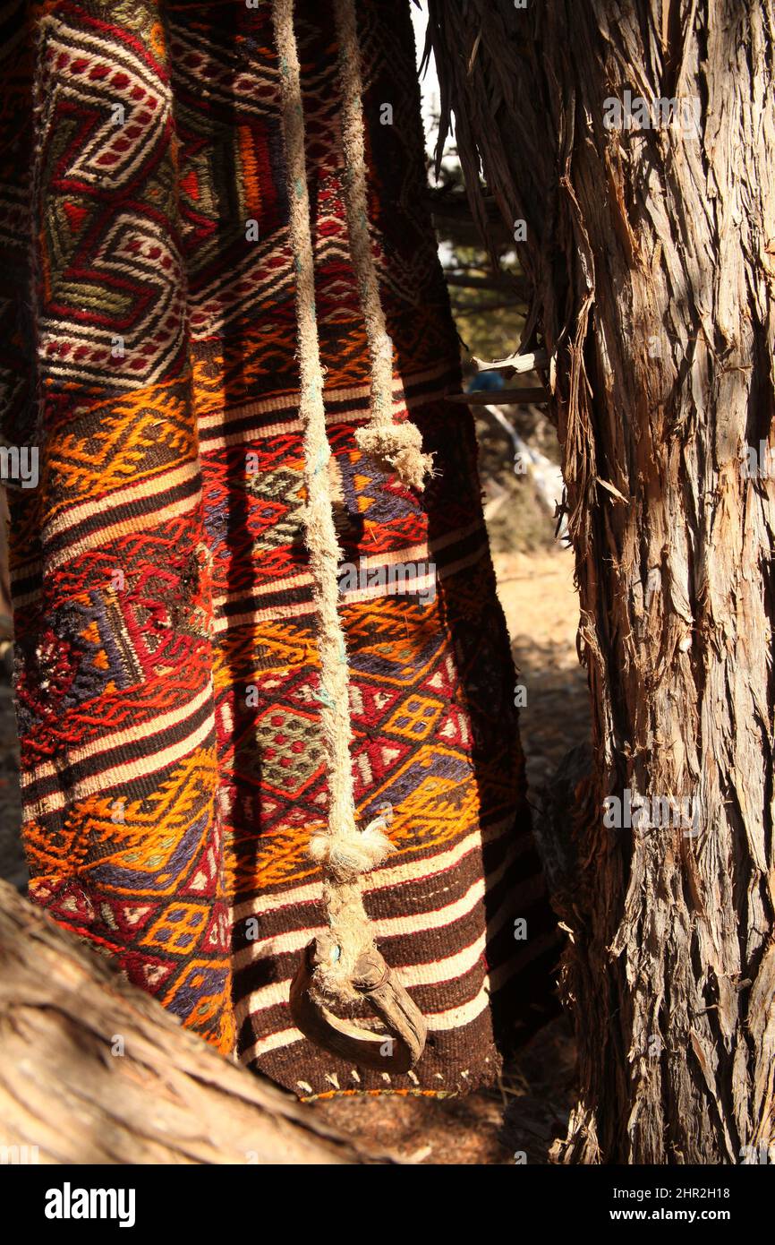 Turkish rug hanging on the branch of the tree Stock Photo - Alamy