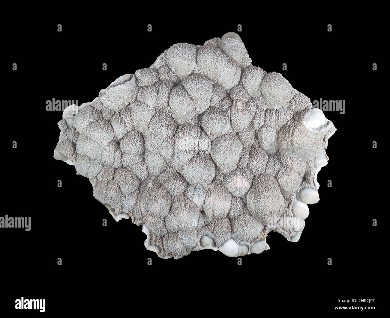 Calcite carbonate mineral stone over black background Stock Photo