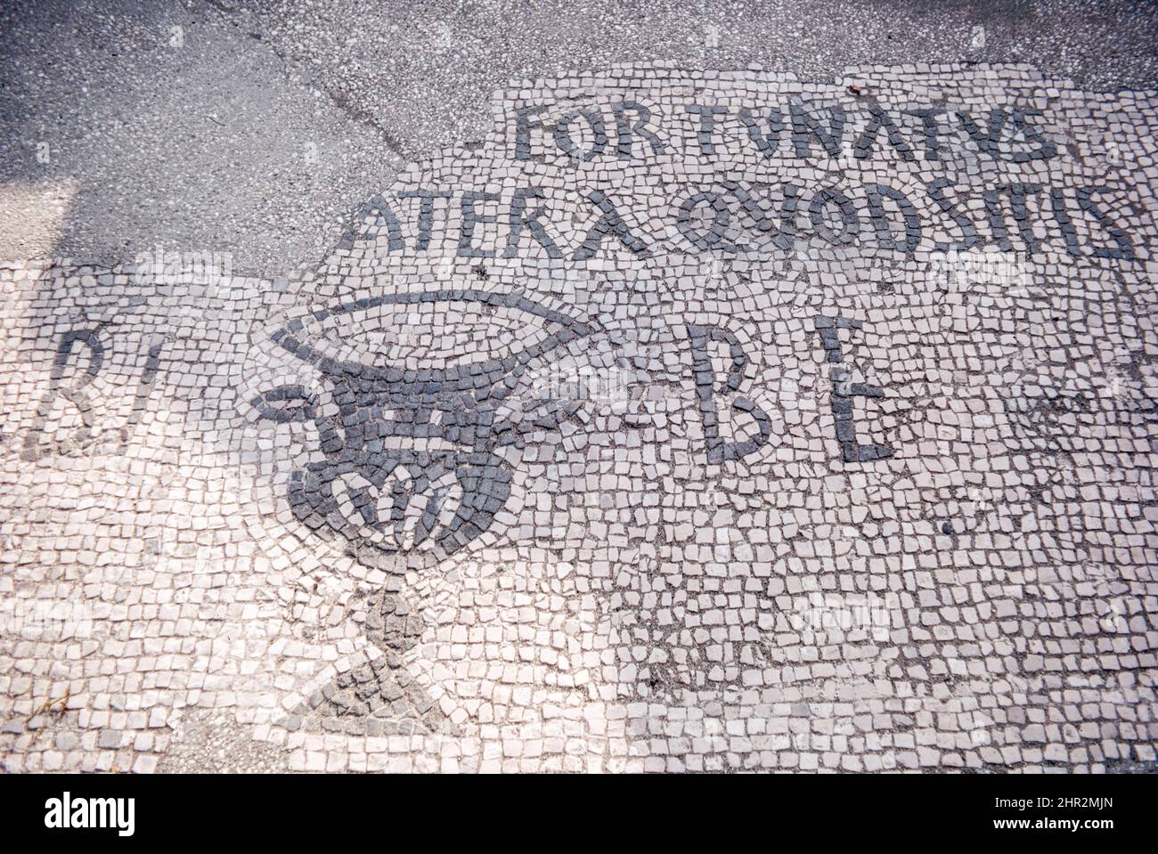 Ostia antica roman bar hi-res stock photography and images - Alamy