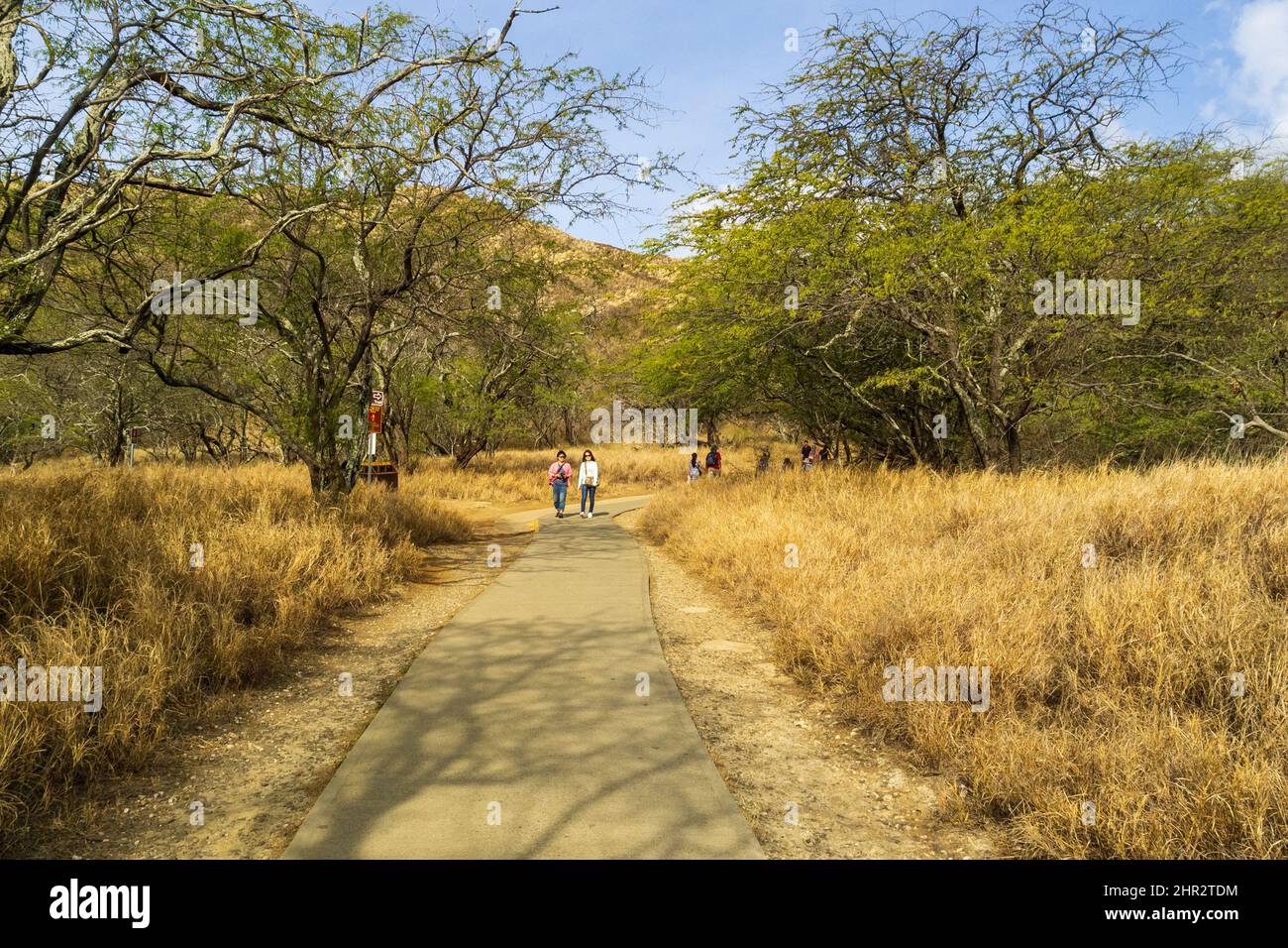 Hike diamond head in oahu hi-res stock photography and images - Alamy