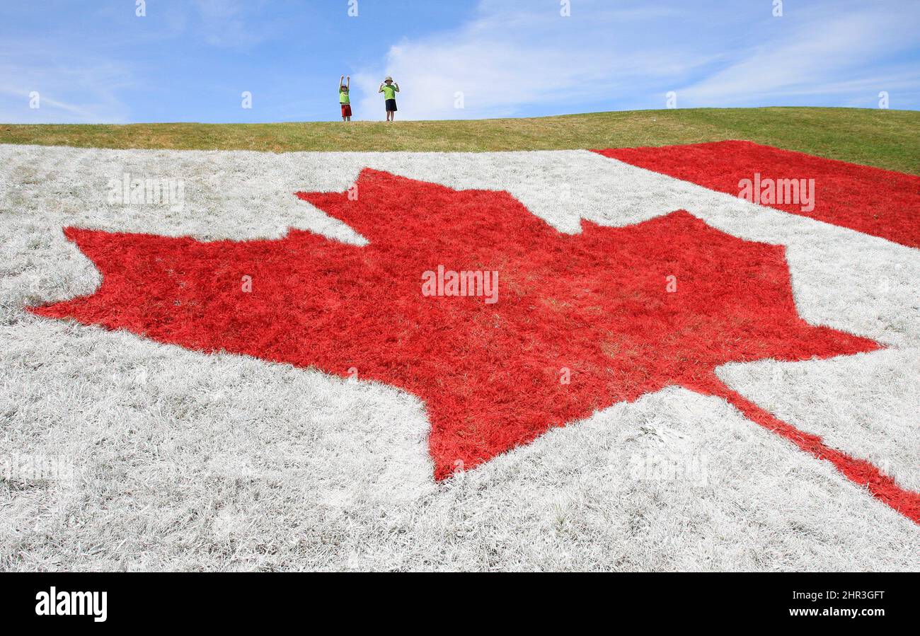 Andrew Fitton (right) and his brother Gordon raise their arms in victory after clmibing to the top of a giant Canada Flag painted on a hillside at the South London Community Centre for a Canada Day celebration being held July 1st, in London, Ontario, Thursday, June 30, 2011. THE CANADIAN PRESS/Dave Chidley Stock Photo